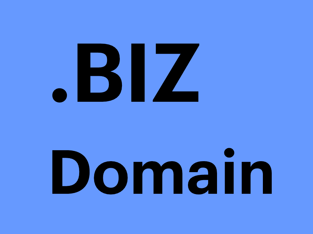 .BIZ domain name